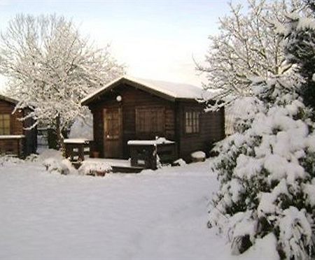 Robeanne House Holiday Accommodation Shiptonthorpe Екстер'єр фото